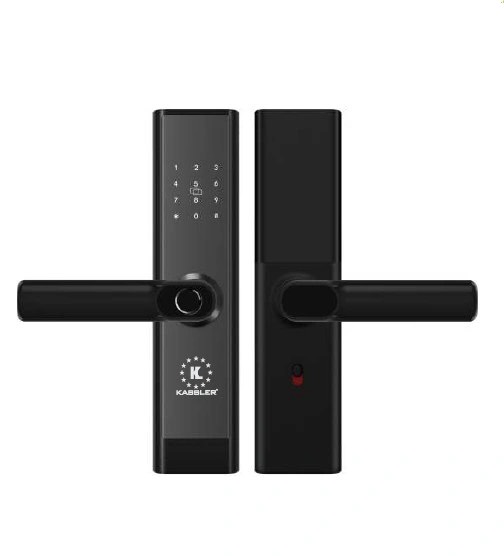 kh&oacute;a v&acirc;n tay kassler kl-656gray