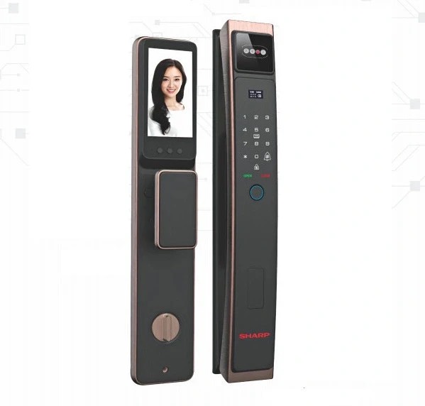 KH&Oacute;A NHẬN DI&Ecirc;N KHU&Ocirc;N MẶT SHARP H3-FV COPER